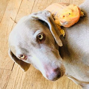 Meet your Posher, Tracy